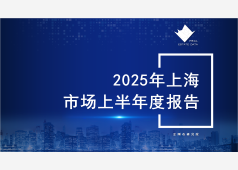 上海楼市2025上半年度市场总结