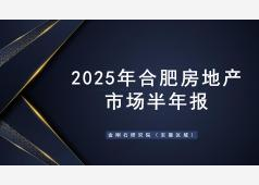 合肥楼市2025上半年度市场总结