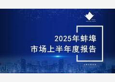 蚌埠楼市2025上半年度市场总结